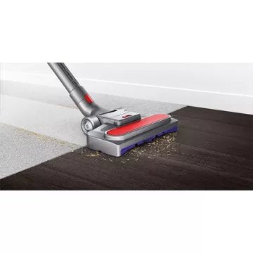 Aspirateur sans sac DYSON Big Ball Parquet 2