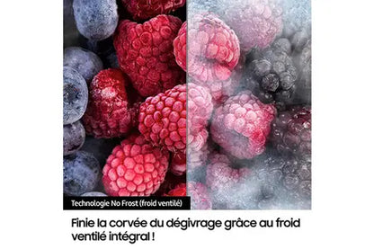 Réfrigérateur multi-portes Samsung RF24BB620ES9