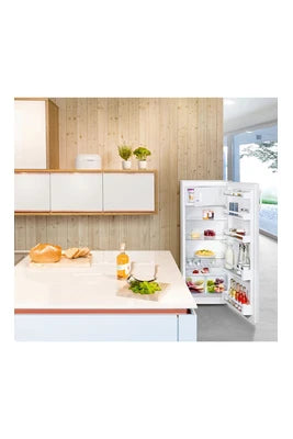 Réfrigérateur 1 porte Liebherr GKPE320-26