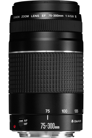 Appareil photo Reflex CANON EOS 2000D + 18-55 IS II + 75-300 + CANON EF 50/1.8 STM