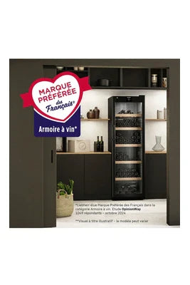 Cave de vieillissement Liebherr WPBLI 5031-20 - UBAYE ELECTROMENAGER