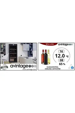 Cave multi-températures Avintage DVP305G