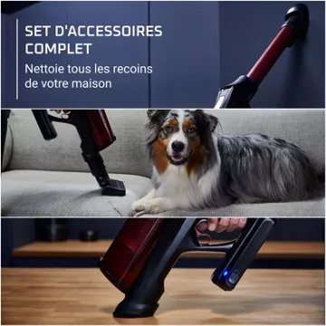 Aspirateur balai ROWENTA X-force Flex 13.60 animal RH9A73WO