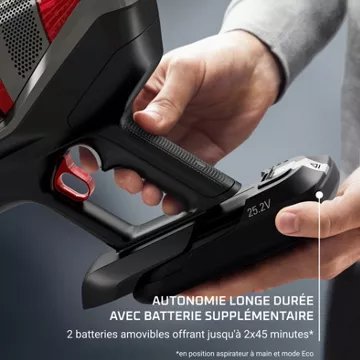 Aspirateur balai ROWENTA -force Flex 12.60 Animal Care RH98A3WO