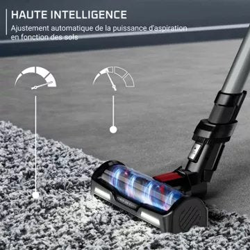 Aspirateur balai ROWENTA -force Flex 12.60 Animal Care RH98A3WO