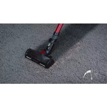 Aspirateur balai ROWENTA -force Flex 12.60 Animal Care RH98A3WO