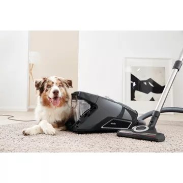 Aspirateur sans sac MIELE Blizzard cat and dog Flex Powerline