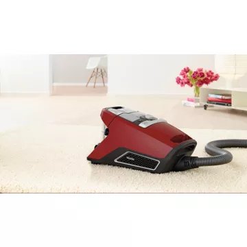 Aspirateur sans sac							MIELE				Blizzard CX1 Powerline