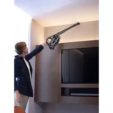 Aspirateur balai MIELE Triflex HX2 Cat-Dog