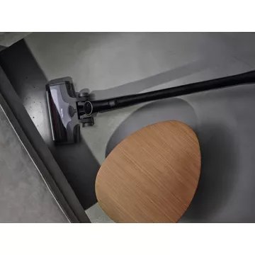 Aspirateur balai MIELE Triflex HX2 Cat-Dog