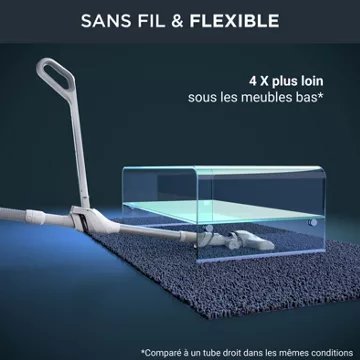 Aspirateur sans sac ROWENTA X-O 90 Energy+ IX7768EA