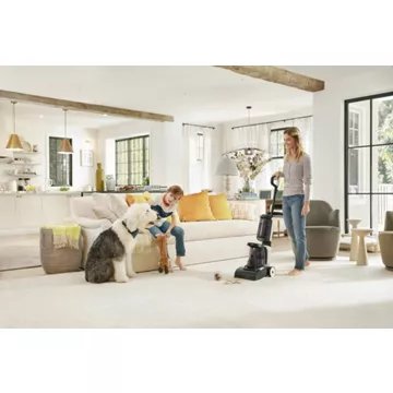 Aspirateur balai TINECO Aspirateur à tapis  Carpet One à fil