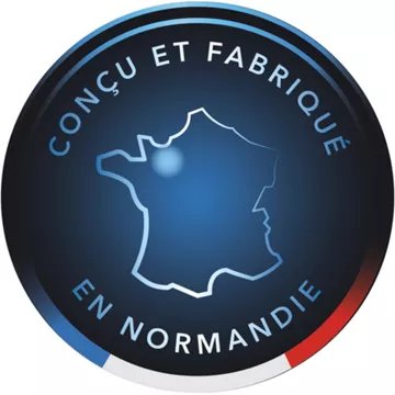 Aspirateur sans sac ROWENTA X-Ô 160 sans fil IX7777EA