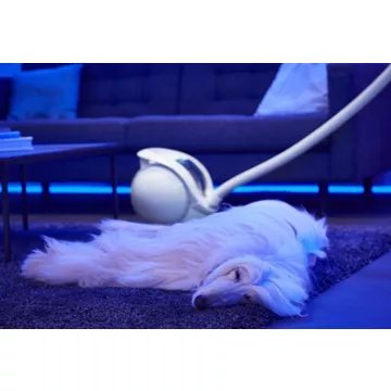 Aspirateur sans sac ROWENTA X-Ô 160 sans fil IX7777EA